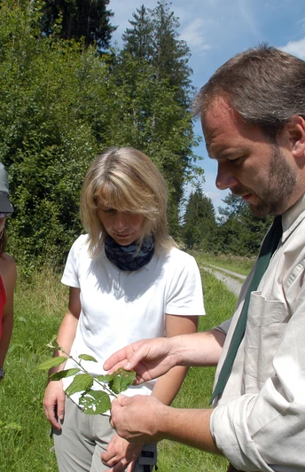 Ein Förster erklärt zwei Frauen im Wald wissbegierig die Pflanzenbeschaffenheit eines Blattes.
