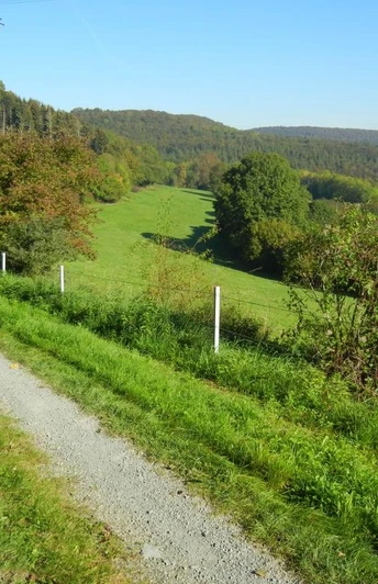 Hasselntalweg Gravelweg führt durch grüne Wiesen mit sanft ansteigenden Hügeln im Hintergrund, bewaldet.