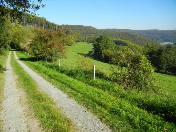 Hasselntalweg Gravelweg fĂĽhrt durch grĂĽne Wiesen mit sanft ansteigenden HĂĽgeln im Hintergrund, bewaldet.