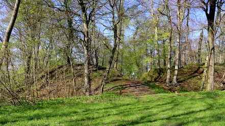 Die Wildburg Ein bewaldeter Hügelweg führt durch frühlingshaft grüne Bäume unter einem klaren blauen Himmel.