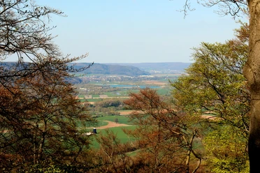 Blick von der Wildburg Weitläufige Landschaft mit Hügeln und Tälern, umgeben von dichtem Wald unter blauem Himmel.