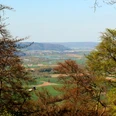 Blick von der Wildburg Weitläufige Landschaft mit Hügeln und Tälern, umgeben von dichtem Wald unter blauem Himmel.