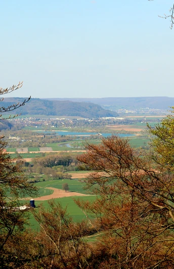 Blick von der Wildburg Weitläufige Landschaft mit Hügeln und Tälern, umgeben von dichtem Wald unter blauem Himmel.