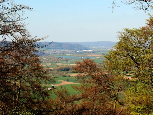 Blick von der Wildburg Weitläufige Landschaft mit Hügeln und Tälern, umgeben von dichtem Wald unter blauem Himmel.