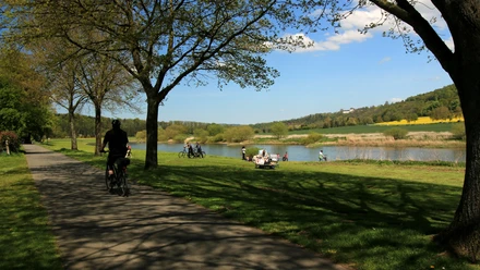 Weserpartie Wehrden Ein Radfahrer und Spaziergänger auf einem Weg entlang einer Flusslandschaft mit Bäumen und Wiesen.