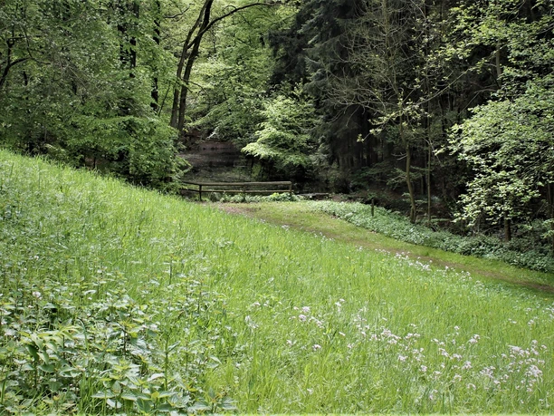 Kurpark Lage-Hörste Grüne Wiese und Wald im Kurpark Lage-Hörste mit einem kleinen, rustikalen Holzsteg im Hintergrund.