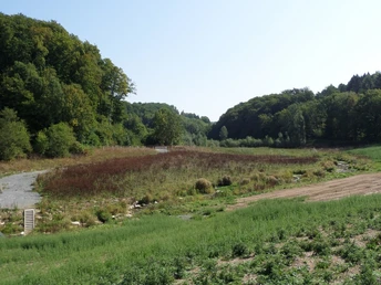 Weite Blicke durch das Altenautal