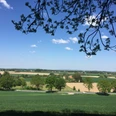 Weite Landschaft mit Feldern und Wiesen unter blauem Himmel, Baumzweige rahmen den oberen Bildrand.