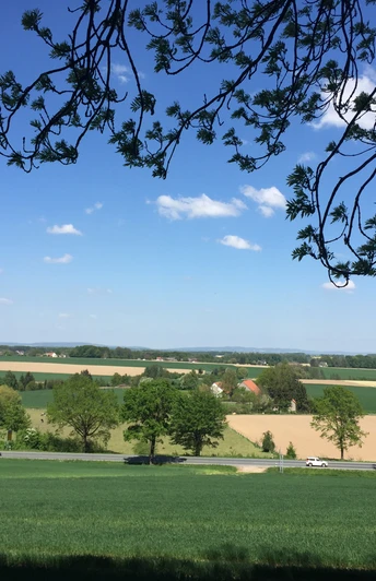 Weite Landschaft mit Feldern und Wiesen unter blauem Himmel, Baumzweige rahmen den oberen Bildrand.