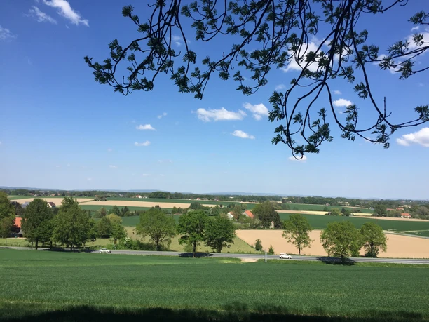 Ausblick vom Wanderweg nach Theenhausen Weite Landschaft mit Feldern und Wiesen unter blauem Himmel, Baumzweige rahmen den oberen Bildrand.