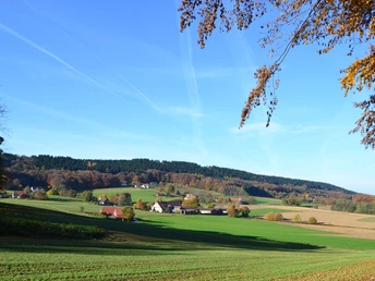 Landschaftsfoto einer weiten Wiese mit einem Dorf im Hintergrund, Bäume in Herbstfarben, blauer Himmel.