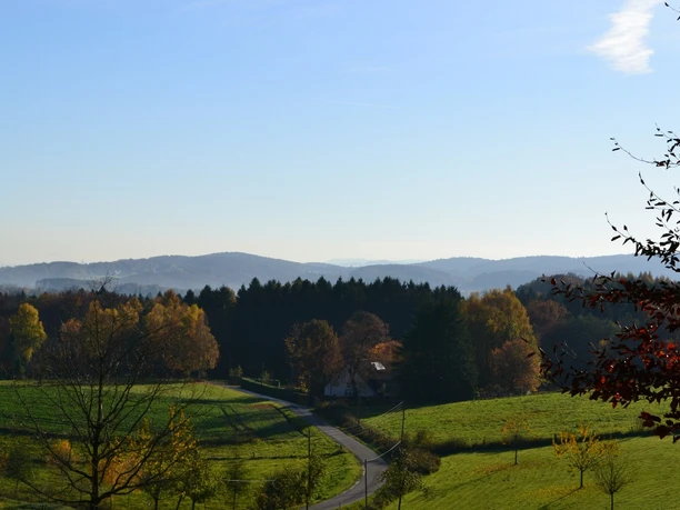 Blick auf Isingdorf Landschaftspanorama mit grünen Hügeln, Wäldern und einem gewundenen Weg, im Hintergrund sanfte Berge.