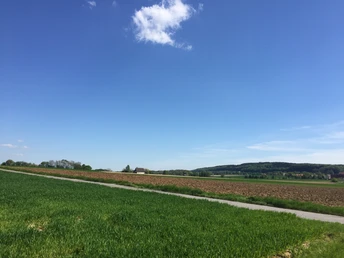 Blick von der Theenhausener Straße Grüne Felder unter blauem Himmel mit vereinzelten Wolken, sanfte Hügel im Hintergrund.