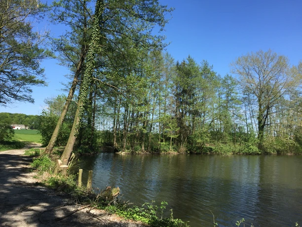 Teich in Theenhausen Fluss in idyllischer Waldlandschaft an einem sonnigen Tag, gesäumt von grünen Bäumen und klarem Himmel.
