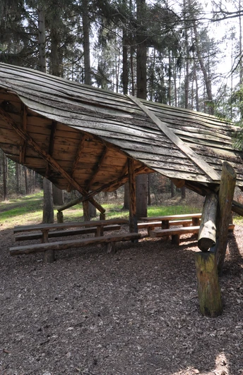 Ein hölzerner Unterstand im Wald, mit Sitzbänken und Informationstafel, umgeben von hohen Bäumen.
