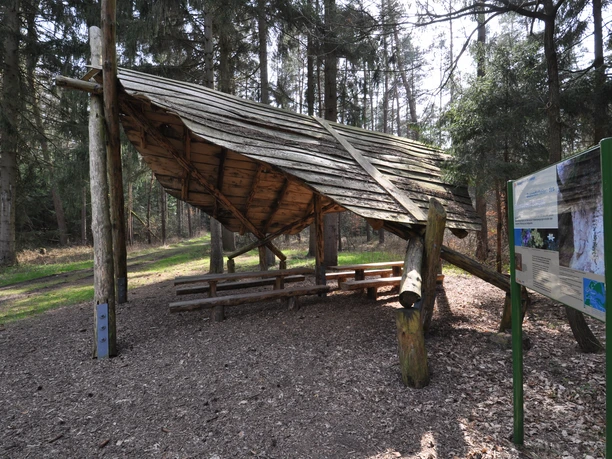 Schutzhütte - Unterstand Ein hölzerner Unterstand im Wald, mit Sitzbänken und Informationstafel, umgeben von hohen Bäumen.
