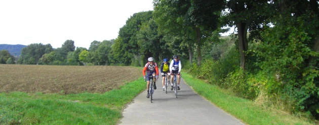 Entspannte Ausfahrt Vier Radfahrer genießen eine Fahrt auf einem ländlichen, von Bäumen gesäumten Weg.