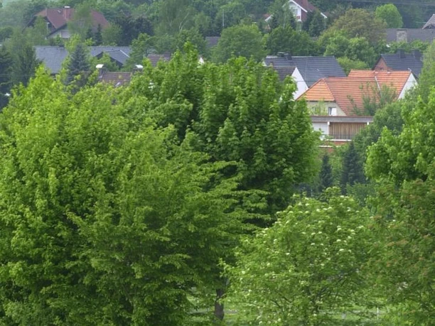 Radfahrer vor Abtei Marienmünster Radfahrer auf einem Weg durch eine leuchtende Landschaft, Abtei Marienmünster im Hintergrund sichtbar.