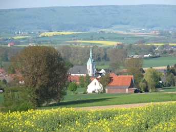 Blick auf Bergheim Blick auf eine ländliche Landschaft mit blühenden Feldern im Vordergrund und Dorf in der Ferne.