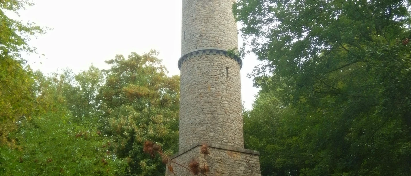 image Der runde, steinerne Aussichtsturm erhebt sich umgeben von dichtem, grünem Wald im Freien.