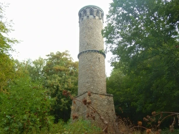 image Der runde, steinerne Aussichtsturm erhebt sich umgeben von dichtem, grünem Wald im Freien.