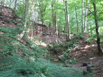 Steinbrüche bei Blankenau