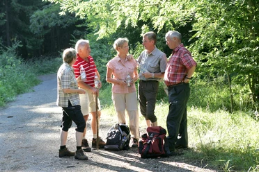Wandergruppe Eine Gruppe von fünf Senioren plaudert auf einem Waldweg. Sie tragen lässige Wanderbekleidung.