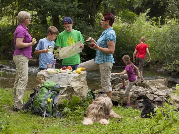 Rast an der Alme Eine Familie mit Rucksäcken pausiert in der Natur, studiert eine Karte, während Hunde entspannen.