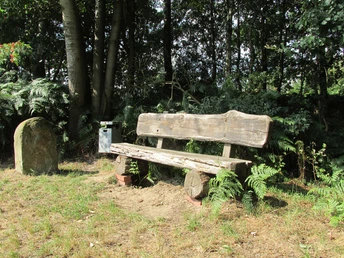 Rund um Greffen Holzbank und Stein unter Bäumen im Wald, von Farnen umgeben, mit Mülleimer linksseitig.