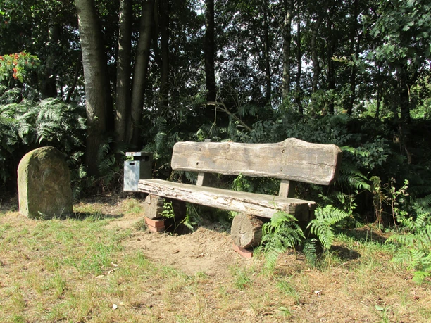 Rund um Greffen Holzbank und Stein unter Bäumen im Wald, von Farnen umgeben, mit Mülleimer linksseitig.