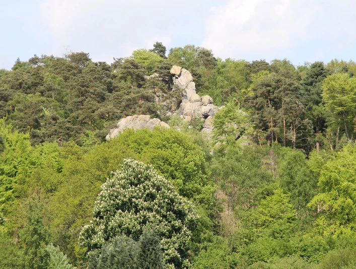 Felsformation Hockendes Weib Felsformation aus hellem Gestein ragt aus einem dichten, grünen Wald mit vielfältiger Vegetation.