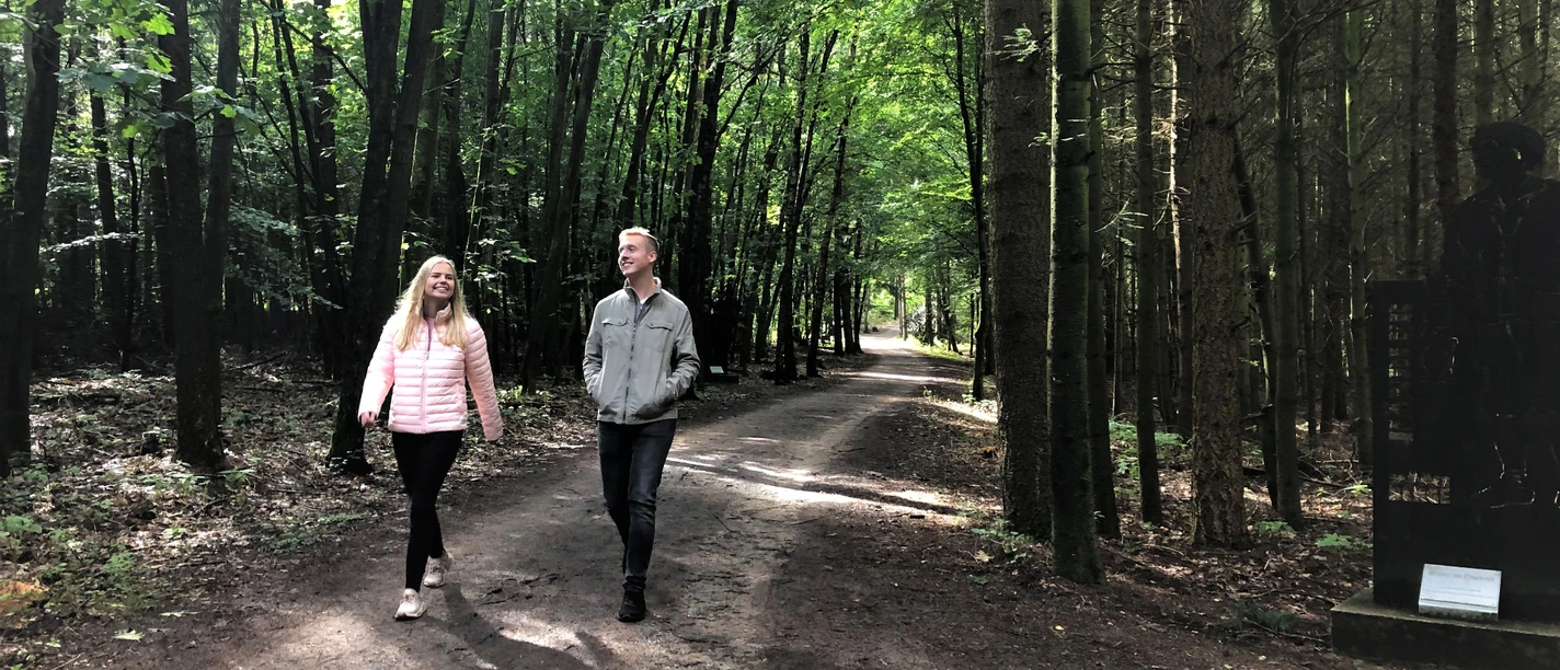 Wanderweg in den Dammer Bergen