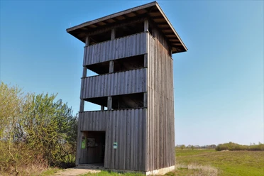 Aussichtsturm Neustädter Moor