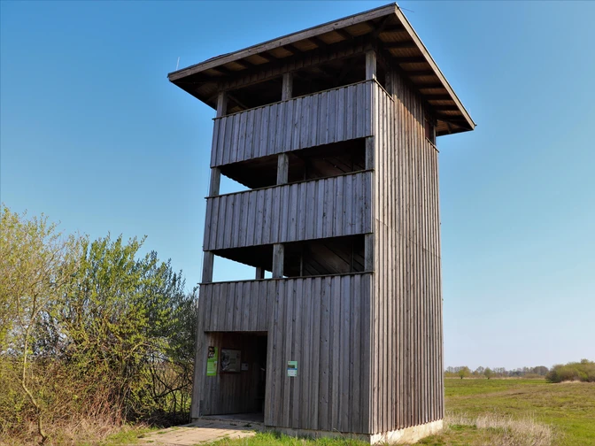 Aussichtsturm Neustädter Moor