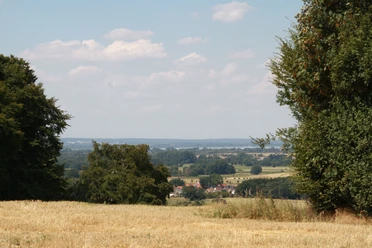 Stemweder Berg Blick auf den Dümmer