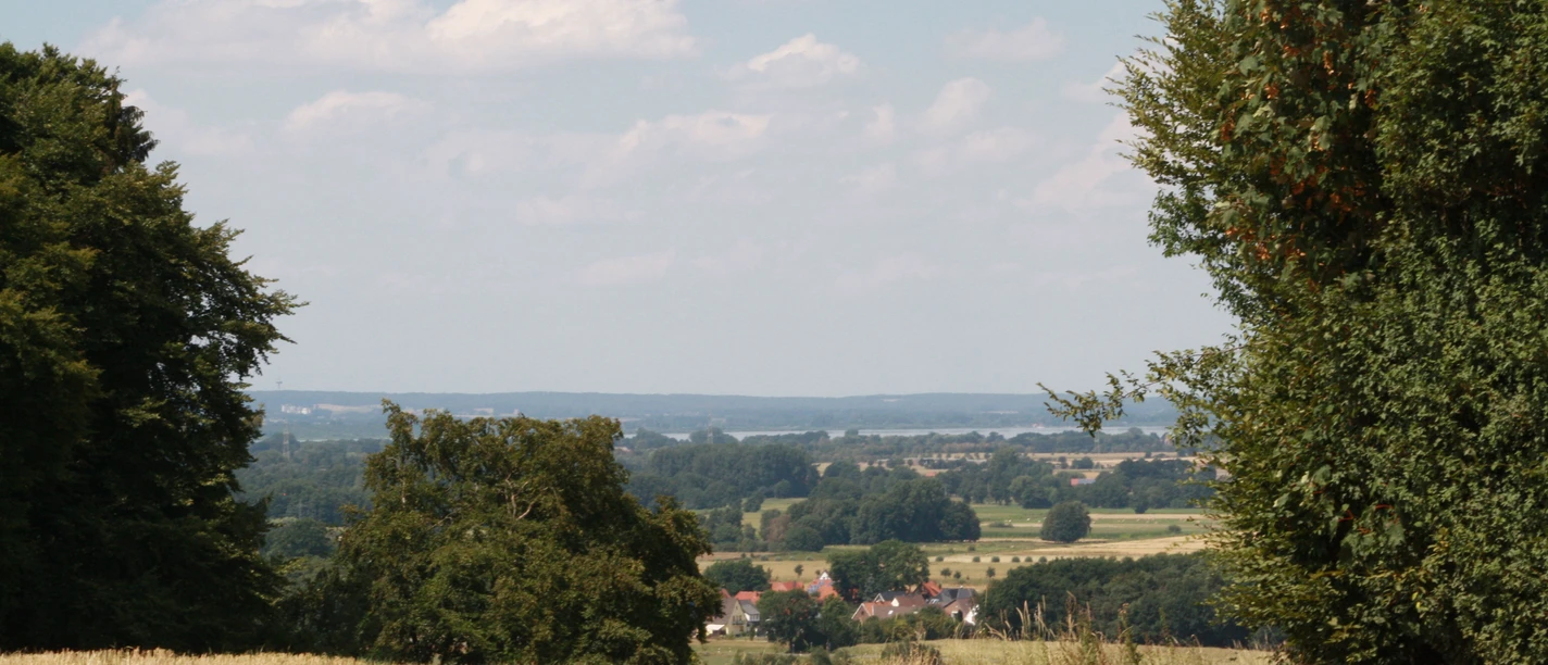 Stemweder Berg Blick auf den Dümmer