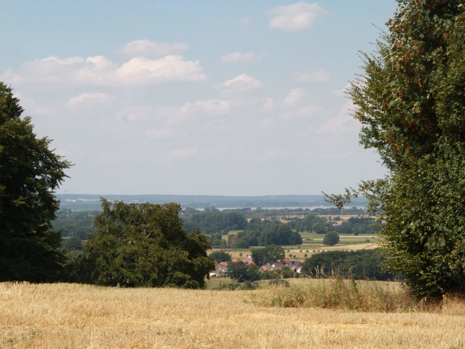 Stemweder Berg Blick auf den Dümmer