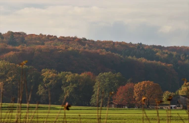 Bunte Farben am Stemweder Berg