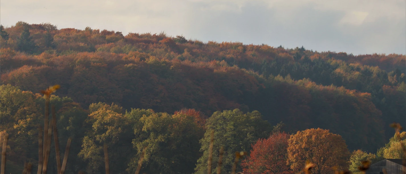 Bunte Farben am Stemweder Berg