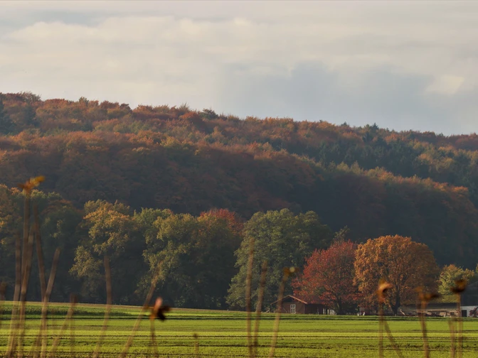 Bunte Farben am Stemweder Berg