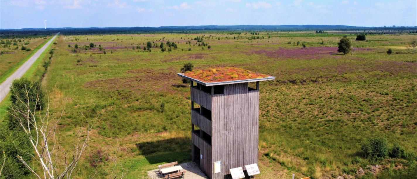 Observation tower in the Geestmoor