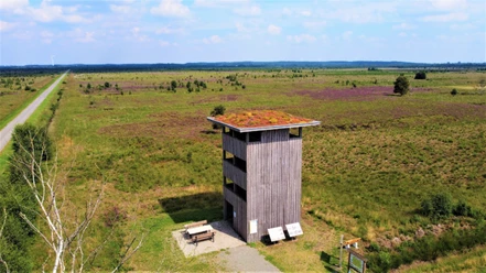 Aussichtsturm im Rehdener Geestmoor Aussichtsturm im Geestmoor