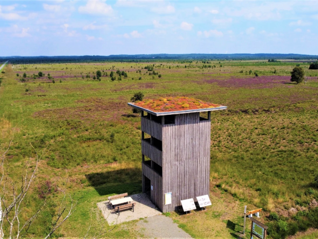 Aussichtsturm im Rehdener Geestmoor Aussichtsturm im Geestmoor