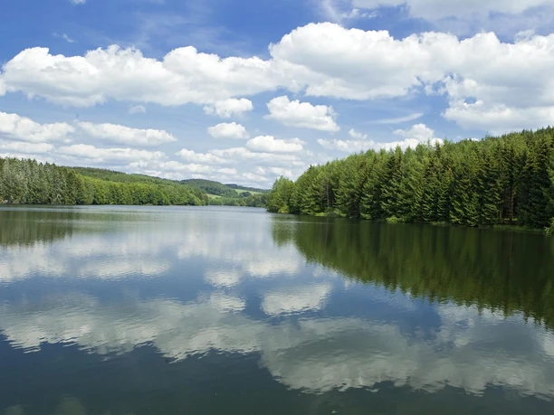 Wiehltalsperre ```html <p>Ruhiger See mit spiegelnder Wasseroberfläche, umgeben von dichtem Wald und blauem Himmel mit Wolken.</p> ```