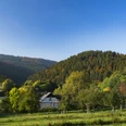 Herbstlandschaft in Willingen-Schwalefeld