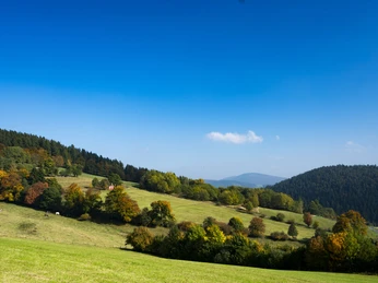 Wandern im Herbst in Willingen