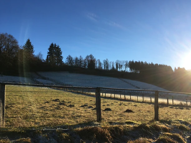 Bergischer Blick Eine frostige Weidelandschaft im Morgenlicht, umgeben von Bäumen und sanften Hügeln.