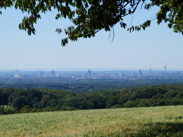 Domblick Voiswinkel Panoramablick über grüne Wiesen auf die Skyline von Köln, eingerahmt von Bäumen im Vordergrund.