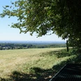 Domblick Voiswinkel Der Blick über ein weites, grünes Feld mit Bäumen am Rand und einer Stadt in der Ferne unter blauem Himmel.