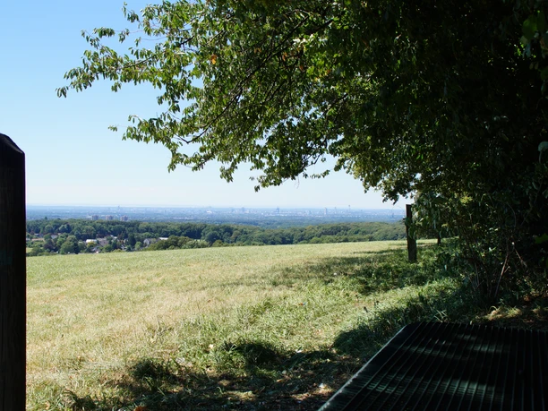 Domblick Voiswinkel Der Blick über ein weites, grünes Feld mit Bäumen am Rand und einer Stadt in der Ferne unter blauem Himmel.